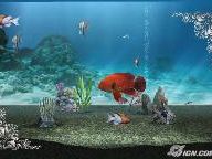 IGN: My Aquarium WiiWare Review