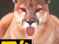 G4 and the "Great Cougar Hunt" Lawsuit