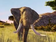 PSX Extreme: Cabela’s Dangerous Hunts 2009 Preview