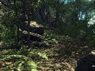 Crysis: Achieve Graphics Beyond The Highest Setting