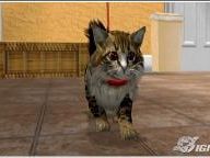 IGN: Purr Pals Review