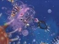 Tom’s Games: Spore Review