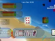 NZGamer: Gin Rummy Review