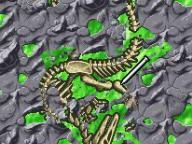 Wonderwallweb review Dinosaur King