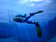 Endless Ocean 2 first screenshots