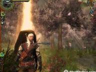 MeriStation: The Witcher Enhanced Edition Review