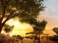 Far Cry 2 – Dev Diary Part 3