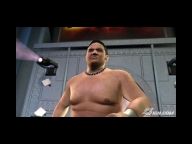 TNA IMPACT Screens