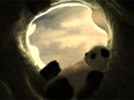 PlayStationLifeStyle.net Trophy Guide – Linger In Shadows