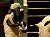 Shaun the Sheep Review at CheatCC