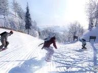Shaun Whites Snowboard Trophies Revealed