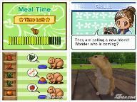 IGN: Animal Paradise Review