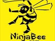 Gamasutra: NinjaBee On XBLA Vs. WiiWare, Adver-Gaming, Boingz