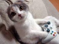 Video gamers compete for $80,000 in prizes at Montreal event