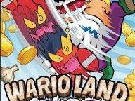 GameManx: Wario Land Shake It Review