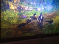Some Funny Fable 2 Glitches