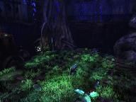 Joystiq Impression : Edge of Twilight