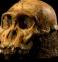 Them_Bones