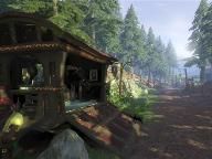 Tired of Chopping Wood in Fable II? Here’s a Hint for Fast Money