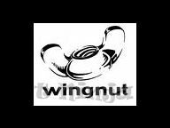 Wingnuts Strike Again