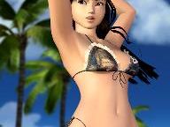 [Rumor] Dead or Alive Xtreme beach volleyball 3 announced for 360 and Wii