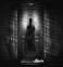 ShadowGhost