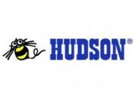 Hudson’s Upcoming WiiWare Games Revealed