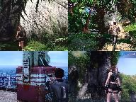Lara vs Nathan… graphic comparison