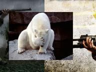 Sorry Noah Heller, But The Bolt Action Rile In Call of Duty 4 Are One Hit Kill