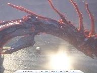 3DMark 06 with extreme FSAA and AF settings