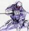 _gray_fox