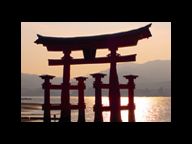 The Japan Preview: 11/23 Edition