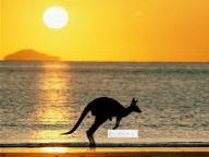 Wii Fastest Selling Console In Australian History