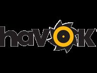 Havok CEO interview in Developmag