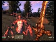 Bethesda: ‘Oblivion data duplication was exaggerated’