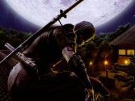 GamingExcellence: Tenchu: Shadow Assault Review