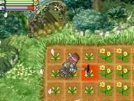 Gamespot: Rune Factory 2: A Fantasy Harvest Moon Review