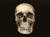 Let Us Mourn The Passing Of Yet Another Kotaku Xbox 360