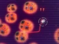 Thunderbolt Review: Biology Battle