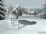 Nancy Drew: The White Wolf of Icicle Creek Review at CheatCC