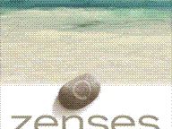 Game Chronicles Review: Zenses: Ocean Edition