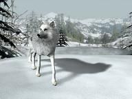buzzfocus: Nancy Drew: The White Wolf of Icicle Creek  Review