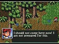 Upcoming Megadrive release Pier Solar could make it onto XBLA