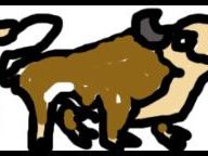 Bucca’s Violent Rant: Part II – Bulls**t and Jack Thompson
