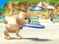 Dog nearly killed thanks to the Wii remote