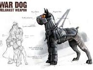 PSU.com : Confirmed No attack dogs in Killzone 2