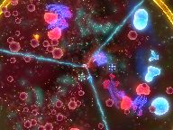 Totally360: Biology Battle Review
