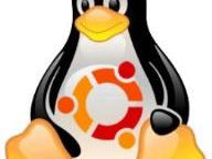 Don’t fear the penguin: A newbie’s guide to desktop Linux