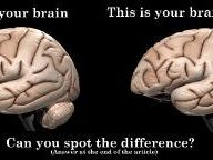 "Brain Games" played games with my brain
