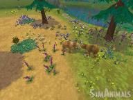 Games2C: SimAnimals Review